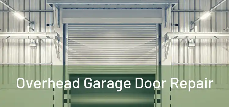  Overhead Garage Door Repair 